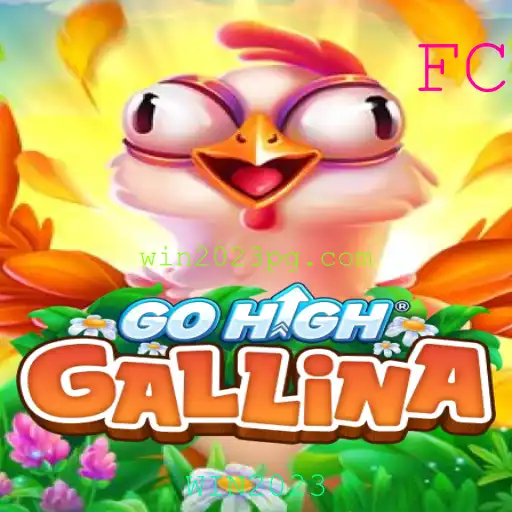 Descubra o Mundo Fascinante de GoHighGallina